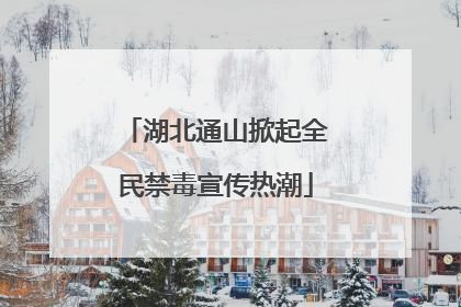 湖北通山掀起全民禁毒宣传热潮