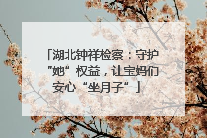 湖北钟祥检察：守护“她”权益，让宝妈们安心“坐月子”