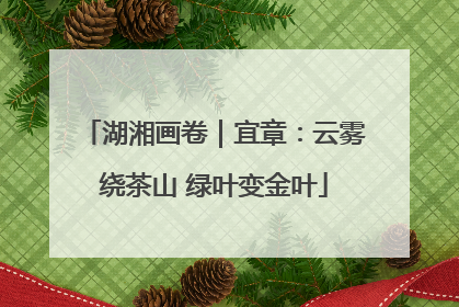 湖湘画卷｜宜章：云雾绕茶山 绿叶变金叶