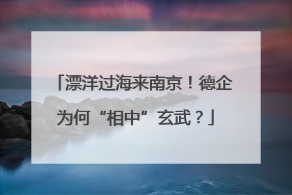 漂洋过海来南京！德企为何“相中”玄武？