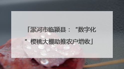 漯河市临颍县：“数字化”樱桃大棚助推农户增收