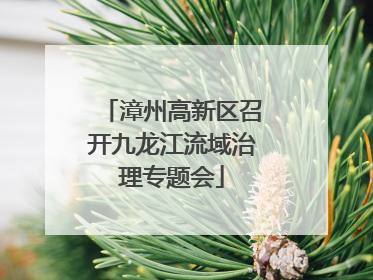 漳州高新区召开九龙江流域治理专题会