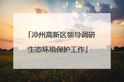 漳州高新区领导调研生态环境保护工作