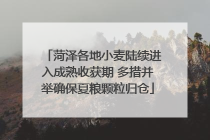 菏泽各地小麦陆续进入成熟收获期 多措并举确保夏粮颗粒归仓