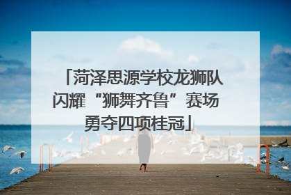 菏泽思源学校龙狮队闪耀“狮舞齐鲁”赛场 勇夺四项桂冠