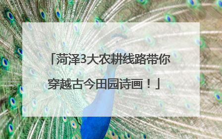 菏泽3大农耕线路带你穿越古今田园诗画！