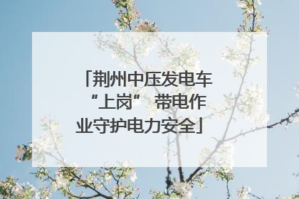 荆州中压发电车“上岗” 带电作业守护电力安全