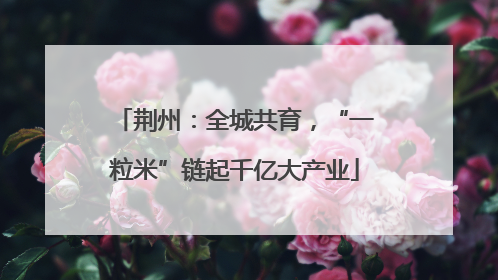 荆州：全城共育，“一粒米”链起千亿大产业