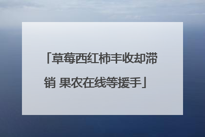 草莓西红柿丰收却滞销 果农在线等援手