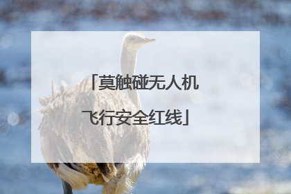 莫触碰无人机飞行安全红线