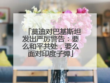 莫迪对巴基斯坦发出严厉警告：要么和平共处，要么面对印度子弹