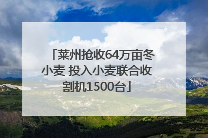 莱州抢收64万亩冬小麦 投入小麦联合收割机1500台