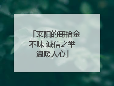 莱阳的哥拾金不昧 诚信之举温暖人心