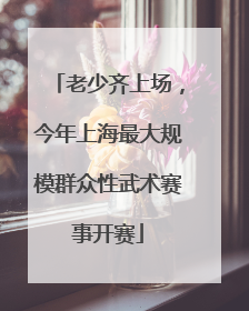 老少齐上场，今年上海最大规模群众性武术赛事开赛