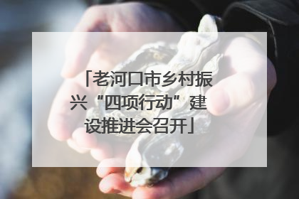 老河口市乡村振兴“四项行动”建设推进会召开