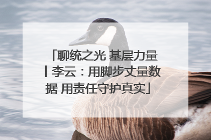 聊统之光 基层力量丨李云：用脚步丈量数据 用责任守护真实