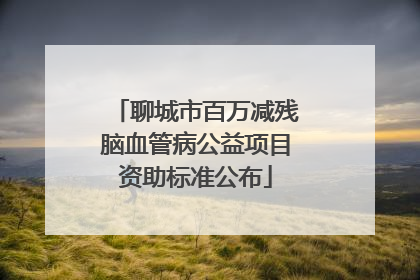 聊城市百万减残脑血管病公益项目资助标准公布