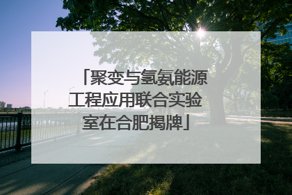 聚变与氢氨能源工程应用联合实验室在合肥揭牌