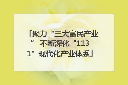 聚力“三大富民产业” 不断深化“1131”现代化产业体系