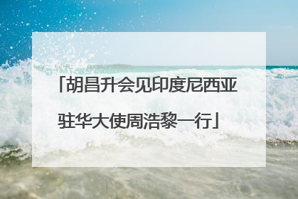 胡昌升会见印度尼西亚驻华大使周浩黎一行