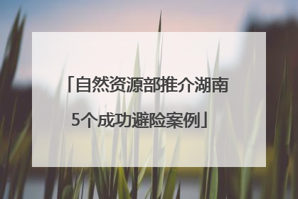 自然资源部推介湖南5个成功避险案例