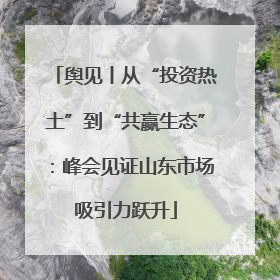 舆见丨从“投资热土”到“共赢生态”：峰会见证山东市场吸引力跃升