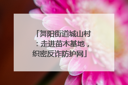 舞阳街道城山村：走进苗木基地，织密反诈防护网