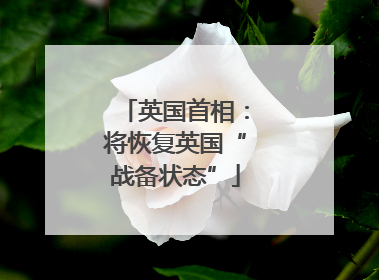 英国首相：将恢复英国“战备状态”
