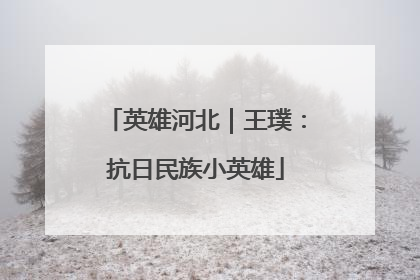 英雄河北｜王璞：抗日民族小英雄