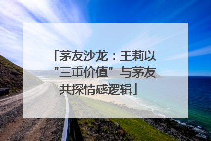 茅友沙龙：王莉以“三重价值”与茅友共探情感逻辑