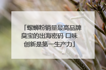 螺蛳粉销量最高品牌臭宝的出海密码 口味创新是第一生产力