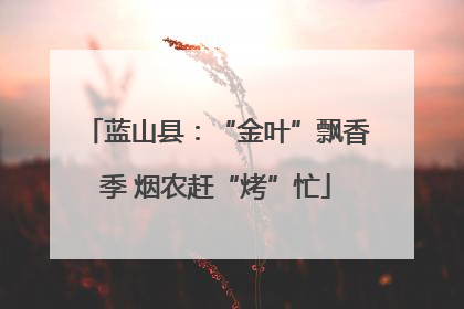 蓝山县：“金叶”飘香季 烟农赶“烤”忙