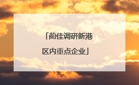 蔺佳调研新港区内重点企业