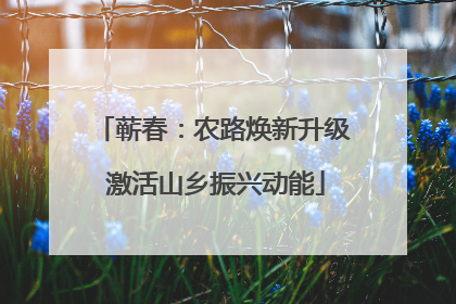 蕲春：农路焕新升级 激活山乡振兴动能