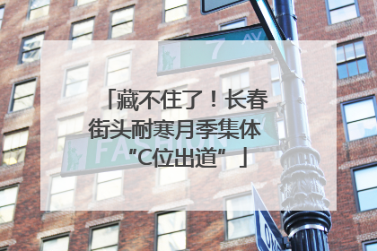 藏不住了！长春街头耐寒月季集体“C位出道”