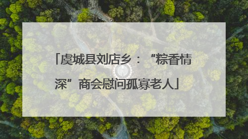 虞城县刘店乡：“粽香情深”商会慰问孤寡老人