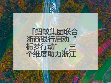 蚂蚁集团联合浙商银行启动“栀梦行动”，三个维度助力浙江下姜村建设共富示范区示范点