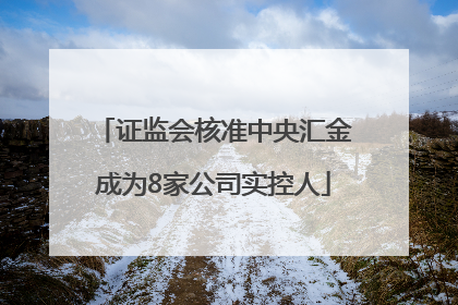 证监会核准中央汇金成为8家公司实控人