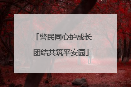 警民同心护成长 团结共筑平安园