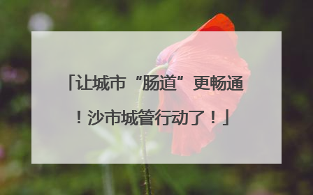 让城市“肠道”更畅通！沙市城管行动了！