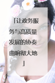 让政务服务与高质量发展的协奏曲响彻大地