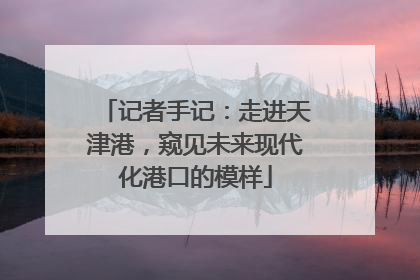 记者手记：走进天津港，窥见未来现代化港口的模样
