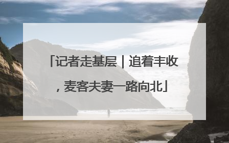 记者走基层｜追着丰收，麦客夫妻一路向北