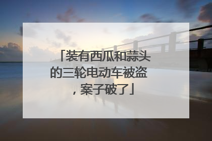 装有西瓜和蒜头的三轮电动车被盗，案子破了