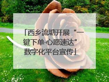 西乡流塘开展“一键下单·心愿速达”数字化平台宣传