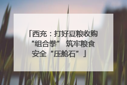 西充：打好夏粮收购“组合拳” 筑牢粮食安全“压舱石”