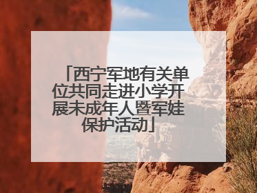 西宁军地有关单位共同走进小学开展未成年人暨军娃保护活动