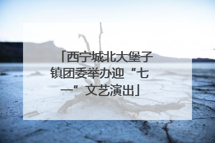 西宁城北大堡子镇团委举办迎“七一”文艺演出