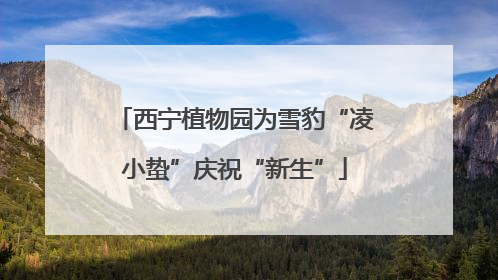 西宁植物园为雪豹“凌小蛰”庆祝“新生”