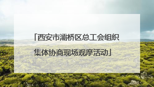 西安市灞桥区总工会组织集体协商现场观摩活动